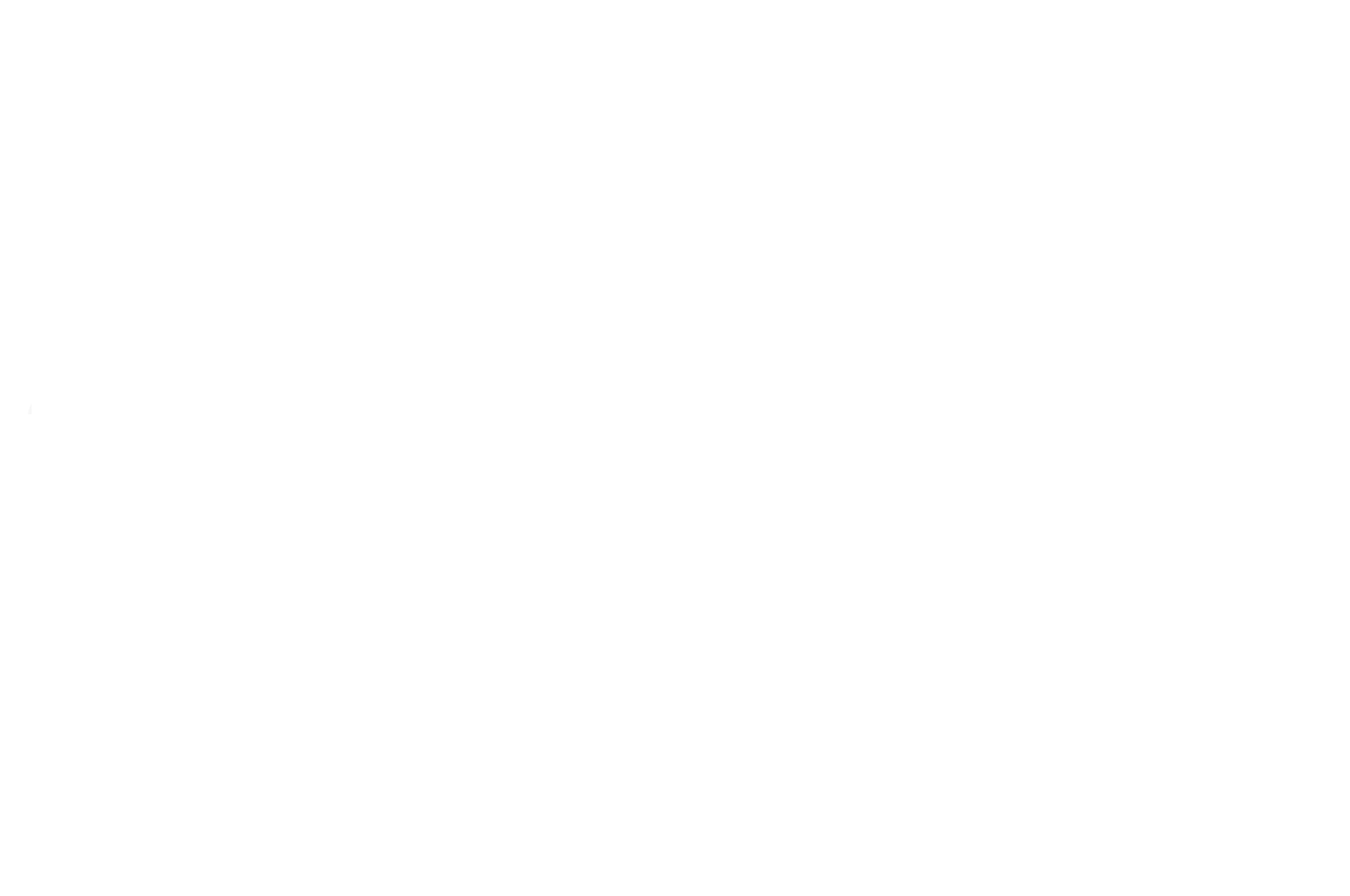 Independent Games Festival: finalist, Best Student Game, 2019