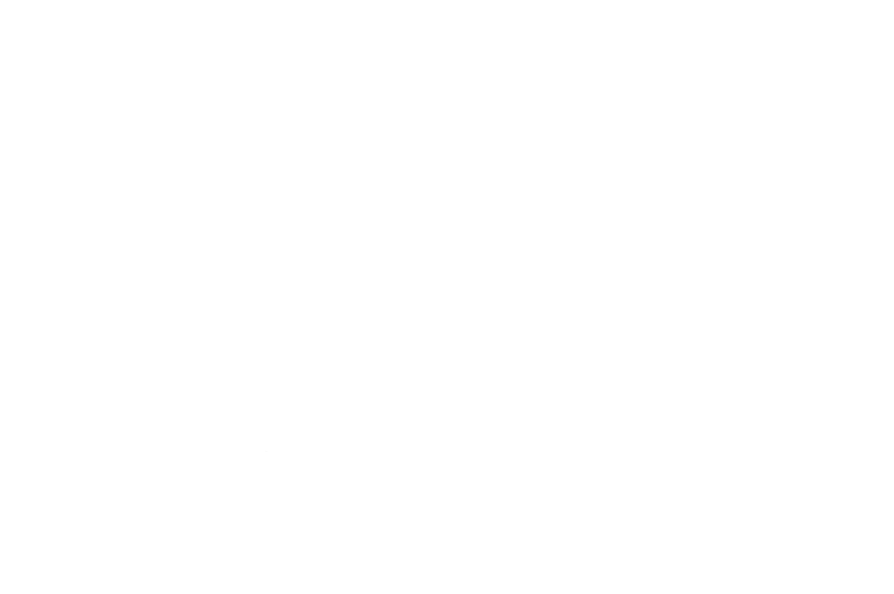 Deutscher Computerspielpreis: award winner, Best Prototype, 2019