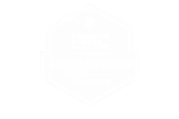 Epic MegaGrants recipient